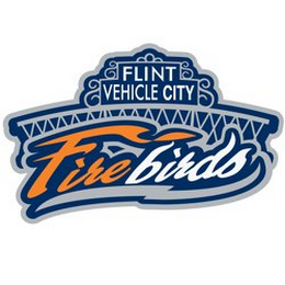 FLINT VEHICLE CITY FIREBIRDS logo
