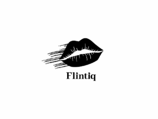 FLINTIQ logo
