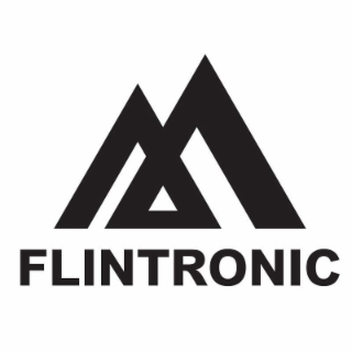 FLINTRONIC logo