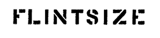 FLINTSIZE logo