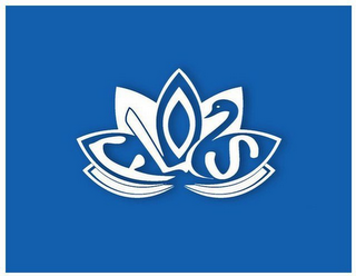 FLO2S logo