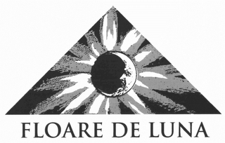 FLOARE DE LUNA logo