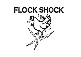 FLOCK SHOCK logo