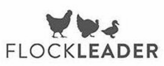 FLOCKLEADER