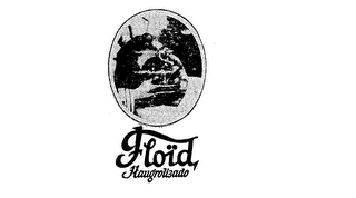 FLOID HAUGROLIZADO logo