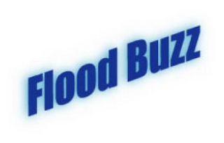 FLOOD BUZZ logo