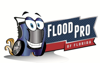 FLOOD PRO OF FLORIDA logo