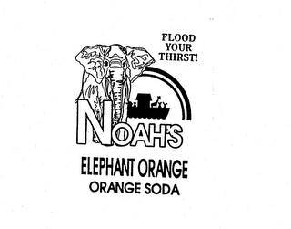 FLOOD YOUR THIRST! NOAH'S ELEPHANT ORANGE ORANGE SODA logo