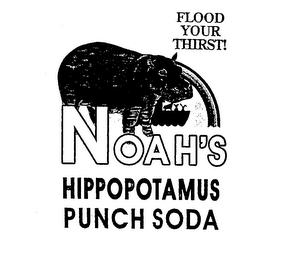 FLOOD YOUR THIRST! NOAH'S HIPPOPOTAMUS PUNCH SODA logo
