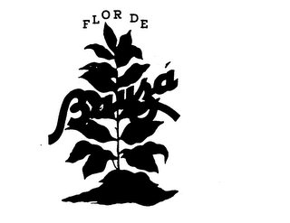 FLOR DE BAUZA logo