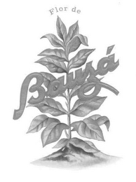FLOR DE BAUZÁ logo
