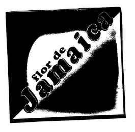 FLOR DE JAMAICA SOFT DRINK logo
