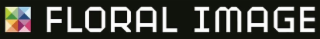 FLORAL IMAGE logo