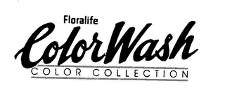 FLORALIFE COLORWASH COLOR COLLECTION logo