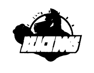 FLORIDA BEACHDOGS logo