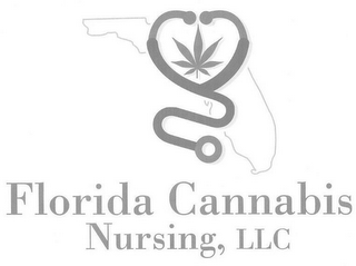 FLORIDA CANNABIS NURSING, LLC logo