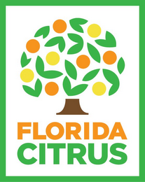 FLORIDA CITRUS logo