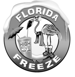 FLORIDA FREEZE HIGH FIVE YOUR LIFE logo
