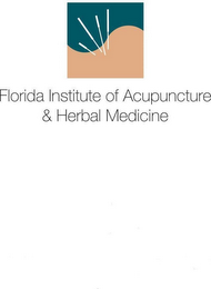 FLORIDA INSTITUTE OF ACUPUNCTURE & HERBAL MEDICINE FLORIDA INSTITUTE OF ACUPUNCTURE & HERBAL MEDICINE logo