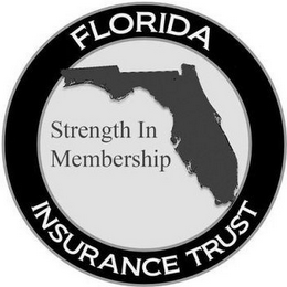 FLORIDA INSURANCE TRUST STRENGTH IN MEMBERHSIP logo