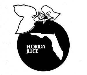 FLORIDA JUICE logo