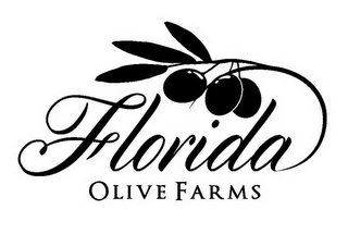 FLORIDA OLIVE FARMS logo