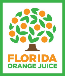 FLORIDA ORANGE JUICE logo