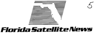 FLORIDA SATELLITE NEWS logo