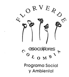 FLORVERDE ASOCOLFLORES COLOMBIA PROGRAMA SOCIAL Y AMBIENTAL logo