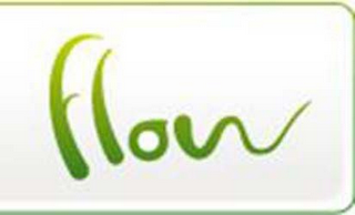 FLOW logo