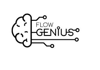 FLOW GENIUS logo