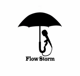 FLOW STORM logo
