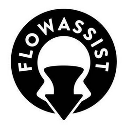 FLOWASSIST logo
