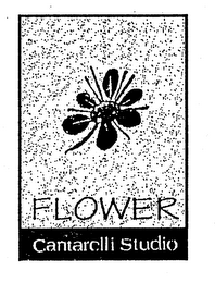 FLOWER CANTARELLI STUDIO
