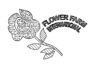 FLOWER FARM INTERNATIONAL logo