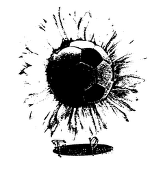 FLOWER POWER logo