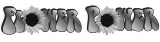 FLOWER POWER logo