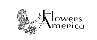FLOWERS AMERICA logo