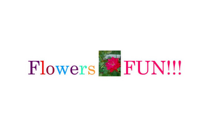 FLOWERS FUN!!! logo