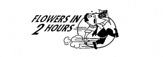 FLOWERS IN 2 HOURS logo
