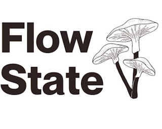FLOWSTATE logo