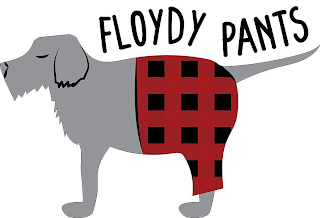 FLOYDY PANTS logo