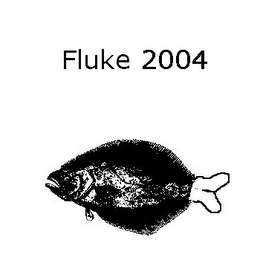 FLUKE 2004 logo