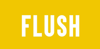 FLUSH logo