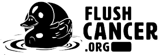 FLUSH CANCER .ORG logo