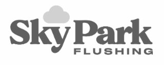 FLUSHING SKYPARK logo
