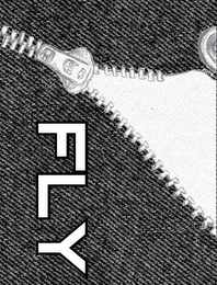 FLY logo
