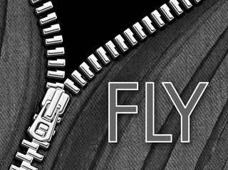 FLY logo