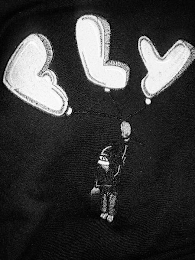 FLY logo