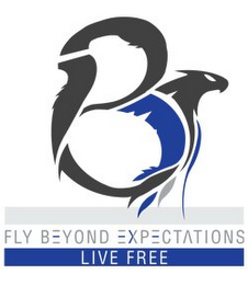 FLY BEYOND EXPECTATIONS LIVE FREE logo